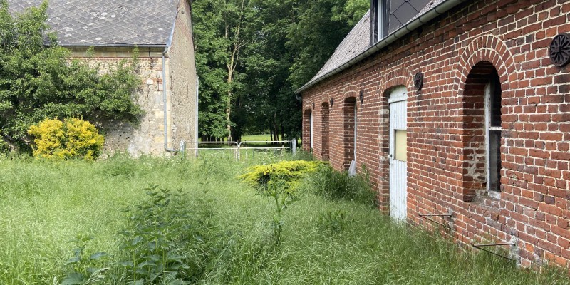 EXTERIEUR MAISON (1)