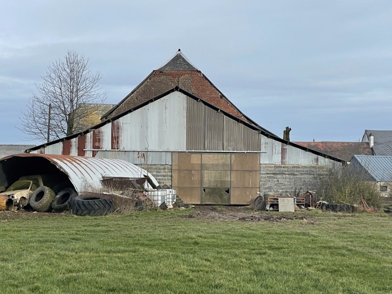 IMG_5301
