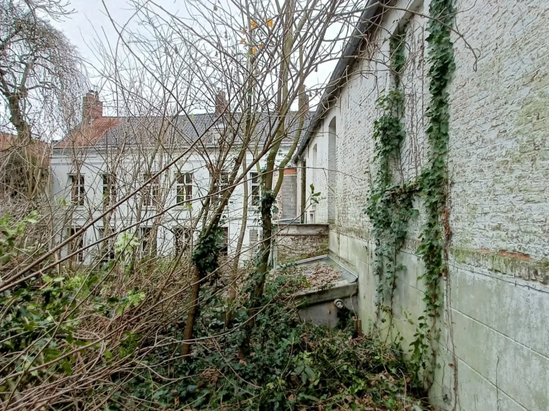IMG20241213131517