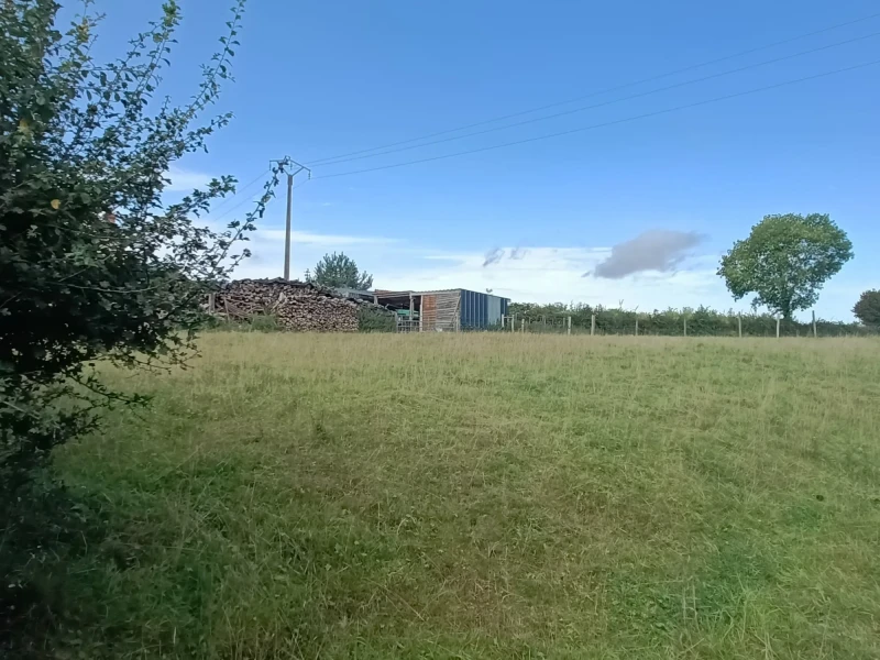 IMG20250904112010